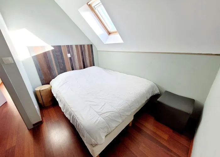 Maison 3 Chambres Jardin Parking Proche Plage, Wifi, Animaux Acceptes - Fr-1-675-43