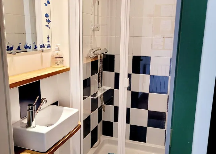 Maison 3 Chambres Jardin Parking Proche Plage, Wifi, Animaux Acceptes - Fr-1-675-43